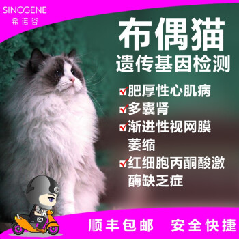 希诺谷布偶缅因加菲豹猫等猫咪品种基因检测套餐专为铲屎官猫主贴心推荐布偶猫 图片价格品牌报价 京东