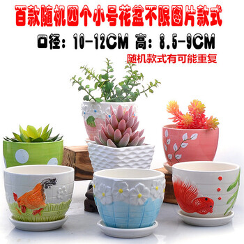 多肉花盆陶瓷大号透气创意室内肉肉植物小花盆批发大口径随机四个花盆带托盘特惠小 图片价格品牌报价 京东
