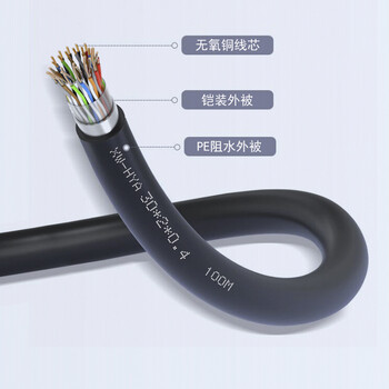 新网光通 室外30对大对数通信线缆 电话语音大对数电缆 1米 XW-HYA 30*2*0.4