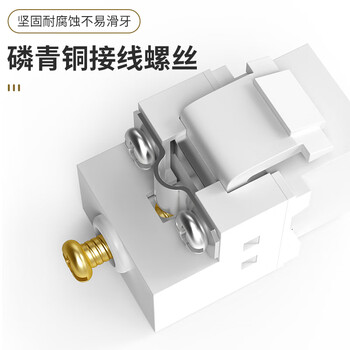 万级 六类网络面板 千兆免打网线插座二位双口 86型网络+电视家装宽带墙壁装修面板 1-14946白