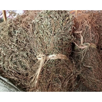 人字草500克三叶草三叶人字草 苍蝇翅 掐不齐