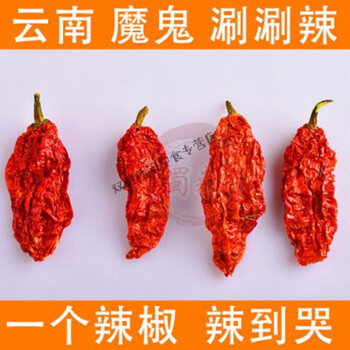 i云南魔鬼辣椒变态辣龙息干辣椒断魂椒死神印度椒 50 涮涮辣