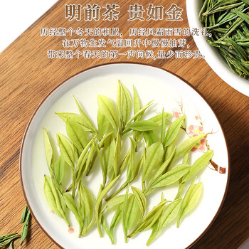 新旭堂安吉白茶茶叶新茶明前嫩芽绿茶高山春茶自饮单罐散装茗茶125g