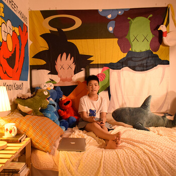 芝麻街潮牌网红背景布ins挂布卡通幼儿房可爱床头挂布画 龙珠联名kaws