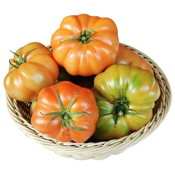 潮汕马蹄番茄生吃沙瓤西红柿番茄农家自种3斤