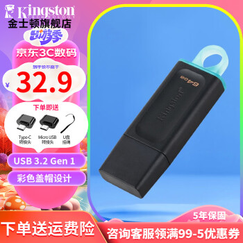 金士顿（Kingston） u盘 USB3.2 Gen 1 高速车载闪存优盘 DTX/64GB【送 转接头+挂绳】