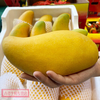 海南芒果金煌芒水仙芒新鲜10斤 精选大果【20斤】【图片 价格 品牌