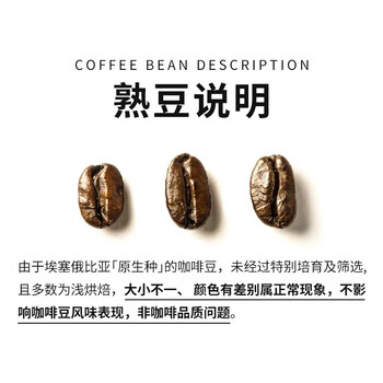 LUJIAZUI鹿家嘴埃塞耶加雪菲 孔加G1原生种浅度烘焙手冲单品咖啡豆200g