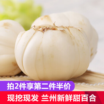 小马乐活百合兰州特产八年生新鲜百合蔬菜食用甜百合煲汤小百合 24 30颗约500g 图片价格品牌报价 京东