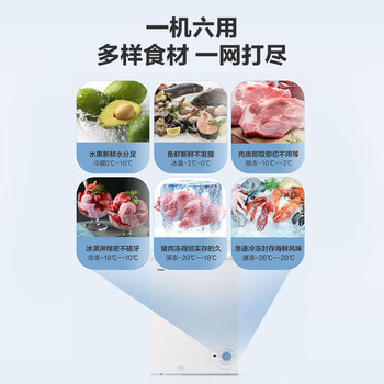 海尔(Haier)100升家用冷藏冷冻转换冰柜 节能单温母乳冷柜小冰箱BC/BD-100GHT 海尔(Haier)100升家用冷藏冷冻转换冰柜 节能单温母乳冷柜小冰箱BC/BD-100GHT
