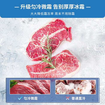 澳柯玛冰柜家用小型冷柜商用大容量顶开门冷藏冷冻一级节能单温柜 BC/BD-147NA 147L