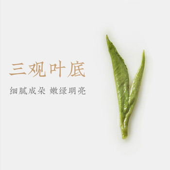 卢正浩绿茶老茶蓬龙井茶叶特级250g2025新茶明前春茶自营纸包自饮送礼 卢正浩绿茶老茶蓬龙井茶叶特级250g2025新茶明前春茶自营纸包自饮送礼
