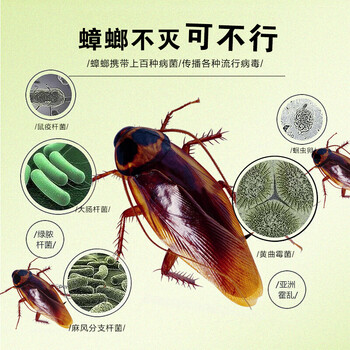 CHEIR杀虫剂基孔肯雅热水灭蟑螂药除螨除飞虫驱蚊无味喷雾杀虫剂600ml CHEIR杀虫剂基孔肯雅热水灭蟑螂药除螨除飞虫驱蚊无味喷雾杀虫剂600ml