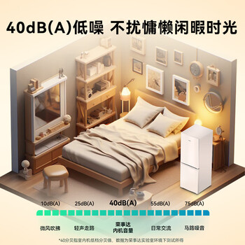 荣事达（Royalstar）161升小冰箱小型家用出租房办公室宿舍双开门两门双门二门电冰箱节能省电低音白色BCD-161L9RSZ