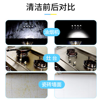 净狮油污净厨房重油污强力清洁剂500ml油烟机微波炉专用清洗剂食品级