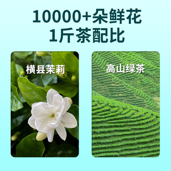 天福茗茶  茉莉花茶  有情绣球龙珠浓香型茉莉花茶200g罐装散装茶叶