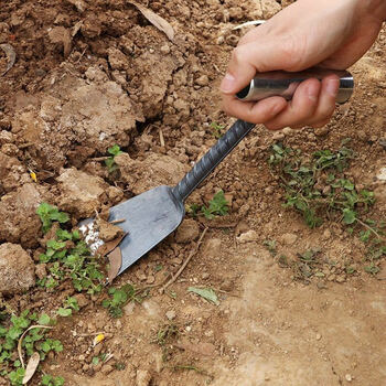 【京喜推荐】挖野菜的工具家用挖野菜小铲子挖草种菜除草挖土菜园花
