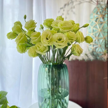 鲜花 随机色洋桔梗15朵