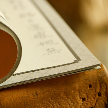 一海堂 文化宣纸 初学者入门同步描摹历史名家书法练习控笔训练学生零基础毛笔字帖 书法临摹白描上中册三本