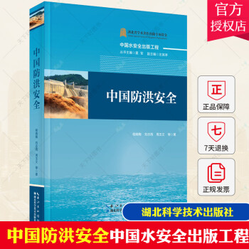 中国防洪安全 中国水安全出版工程