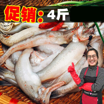 現捕現發龍頭魚無刺豆腐魚新鮮鮮活九肚魚海鮮輔食海魚騰旺納躍5斤裝