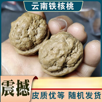 铁核桃文玩核桃品牌及商品- 京东