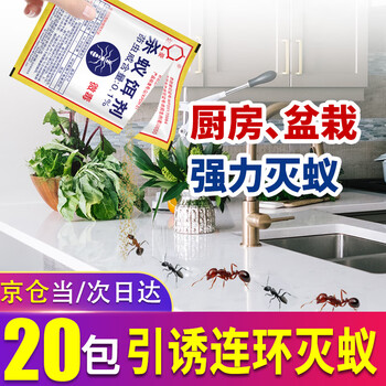 达豪  蚂蚁药一杀蚁饵剂窝家用端杀蚂蚁药粉灭蚁20包