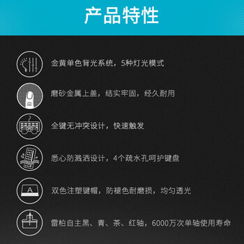雷柏（Rapoo） V500PRO单光版 有线背光机械键盘 104键全尺寸游戏电竞笔记本电脑办公吃鸡全键无冲键盘 青轴