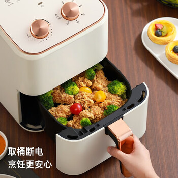 龙的（longde）空气炸锅家用5L大容量网红全自动无油多功能不沾涂层薯条机 LD-KL5328