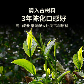 澜沧古茶叶普洱茶经典0081云南普洱熟普200g 2021年饼茶盒装