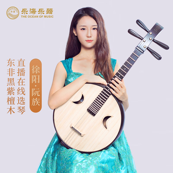 中国　中阮 中阮演奏型号规格- 京东
