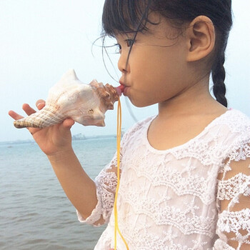 法漫玫 亮宾 海螺贝壳哨子海螺号角吹海螺贝壳工艺品饰品儿童口哨玩具