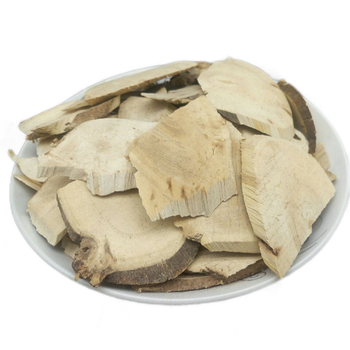 白背叶根 别名 白膜根 白朴根野桐根中药材白背叶根 250克