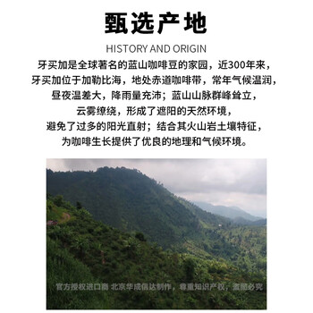 来美咖蓝山咖啡豆牙买加蓝山圆豆咖啡礼盒含250g*2 高贵奢华