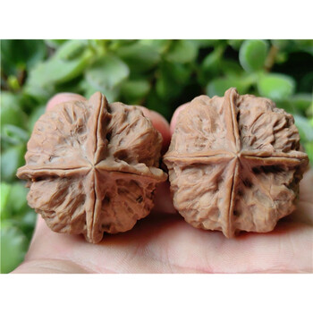 中国骨董 桃核 铁核桃精品品牌及商品- 京东