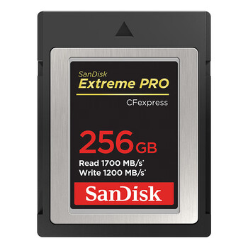 闪迪（SanDisk）存储卡256GB CFexpress Type B内存卡 读1700MB/s写1200MB/s 4K视频微单高速影像 兼容部分XQD相机