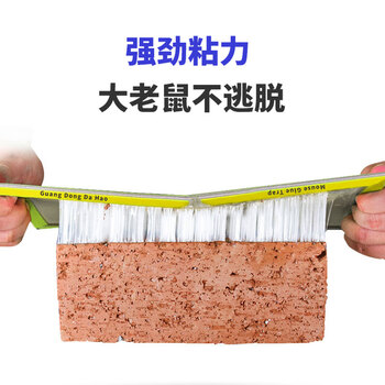 达豪 捕鼠神器一老鼠贴窝强力粘鼠板端大号灭鼠家用5张装 达豪 捕鼠神器一老鼠贴窝强力粘鼠板端大号灭鼠家用5张装