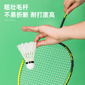 安格耐特（Agnite）体育用品羽毛球 白色 12只/筒 1筒装 F2207