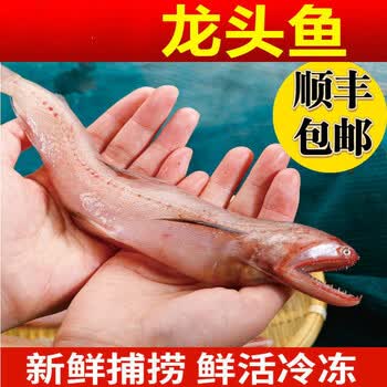 东海豆腐鱼海鲜新鲜九肚鱼5斤龙头鱼鲜活冷冻特大丝丁鱼1斤水潺