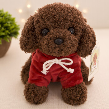 乐加酷仿真泰迪狗公仔毛绒玩具创意娃娃玩偶可爱小号狗狗公  25厘米