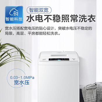 海尔（Haier）波轮洗衣机小型全自动家用 6.5公斤 四重净洗 智能称重 宿舍出租房神器 EB65M019