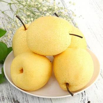雪花梨新鲜水果香酥脆甜当季整箱梨子9斤
