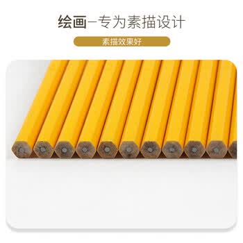 施德楼（STAEDTLER）HB铅笔 经典六角木杆小学生考试涂卡一二年级美术素描绘图笔礼物开学必备用品12支/盒133-HB