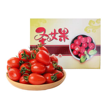 圣女果小西红柿红番茄现摘现发露天圣女果5斤礼盒装