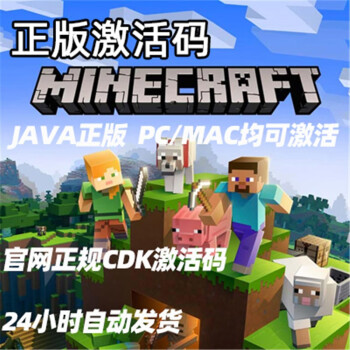 我的世界java正版minecraft官方礼品卡pc国际服java激活码 图片价格品牌报价 京东