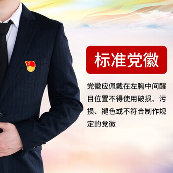 法拉蒙（faramon）2024年新版国家标准型为人民服务党徽高档强磁扣胸章别针党员胸徽章胸针