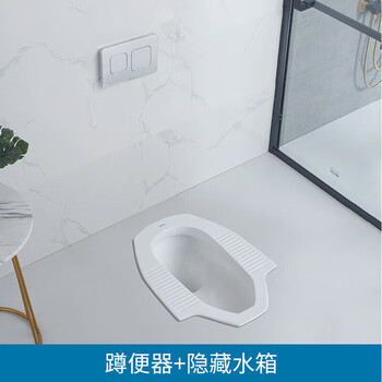 蹲便器cw8rb蹲坑带水箱家用卫生间工程防臭大便 蹲便器 隐藏式水箱