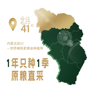 金味北纬41°有机纯燕麦片1000g罐装 早餐冲饮即食燕麦片 送礼佳品