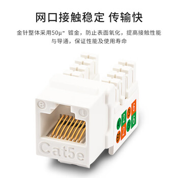 博扬 双口信息面板+2个超五类网络模块 阻燃信息模块插座面板86型套装（金色）BY-8602-D5