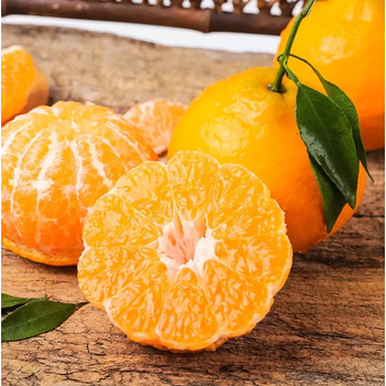 春见四川耙耙柑新鲜孕妇水果粑粑柑丑橘丑八怪桔子59斤水果生鲜5斤